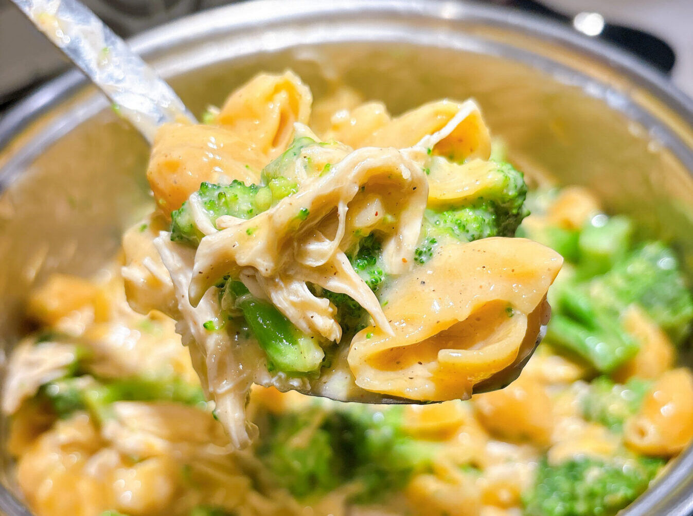 Chicken-Broccoli Shells and Cheese