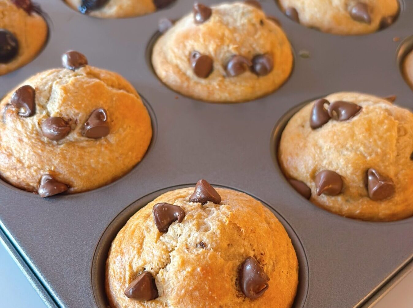 Chocolate Chip Protein Muffins